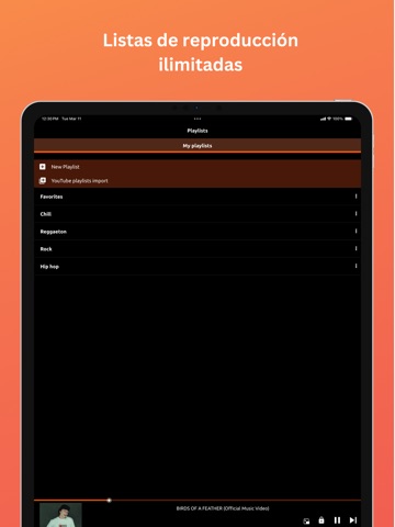 Online Música y Video Player iPad screenshot 5