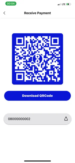Blimp Pay screenshot 3