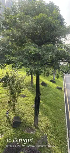 AuthenticCam: Real Photo Proof screenshot 4