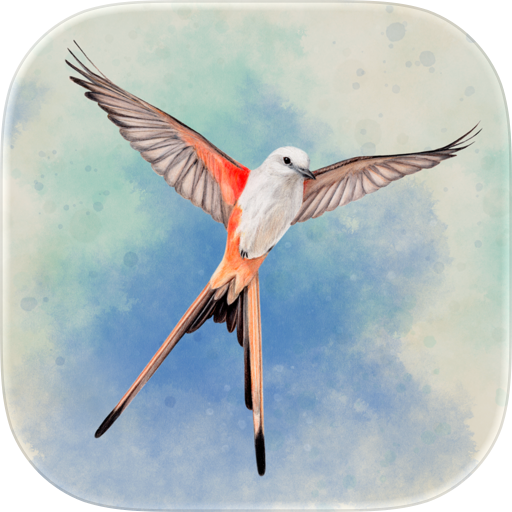 Wingspan: The Board Game