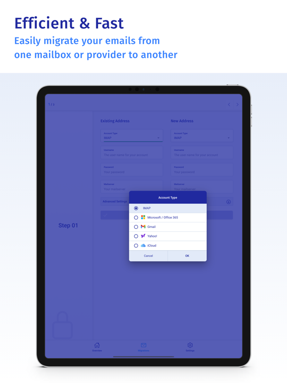 MailJerry iPad screenshot 3 - Developer Tools app