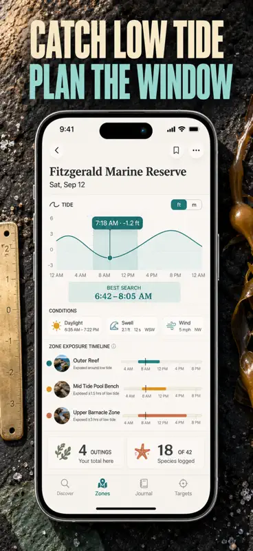 Tide Pool ID: Field Guide screenshot 4 of 10