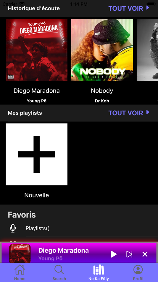 #4. Fôly (iOS) Podle: NG System Technology