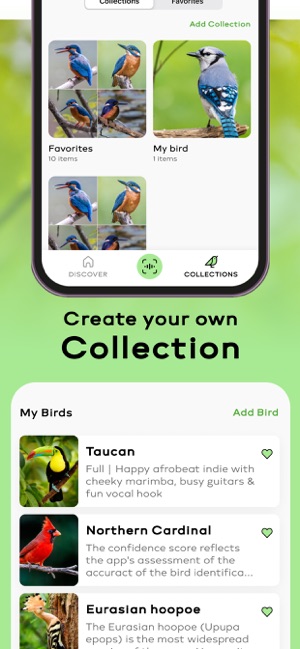Is There an App to Identify Bird Song: Top Picks for Bird Lovers