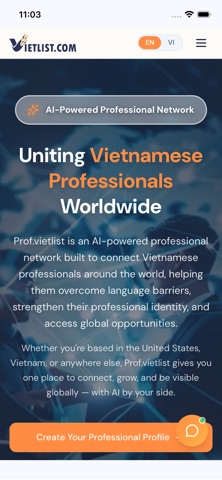 Vietlist Prof Screenshot 4 of 5