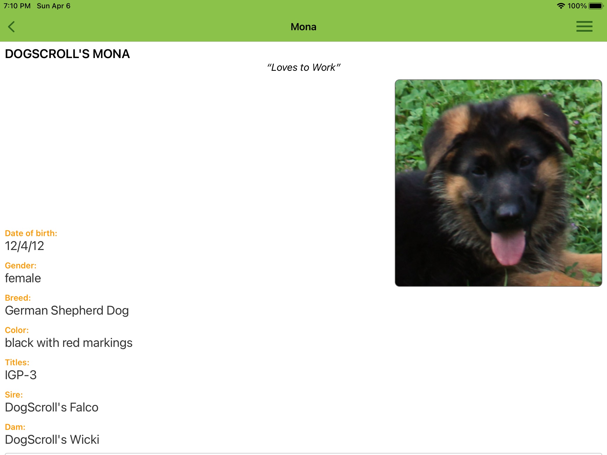 DogScroll screenshot 2