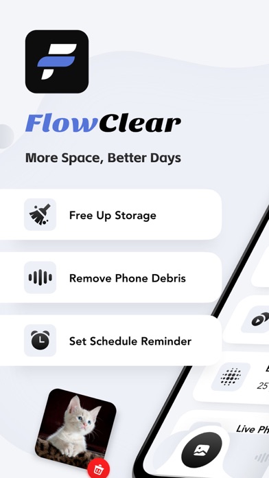 FlowClear: Clean Up Storage Screenshot