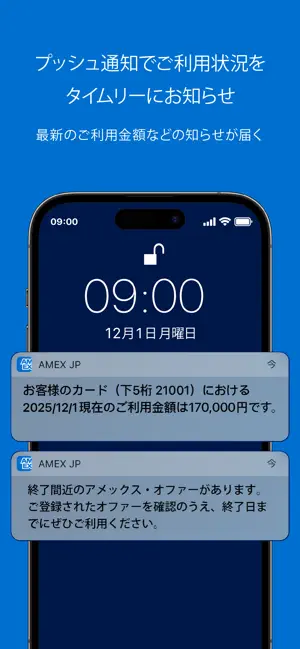 Amex Japan iPhone screenshot 5