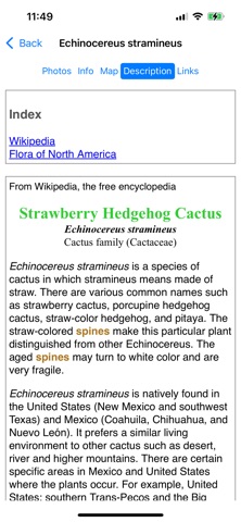 Northeast Mexico Wildflowers iPhone screenshot