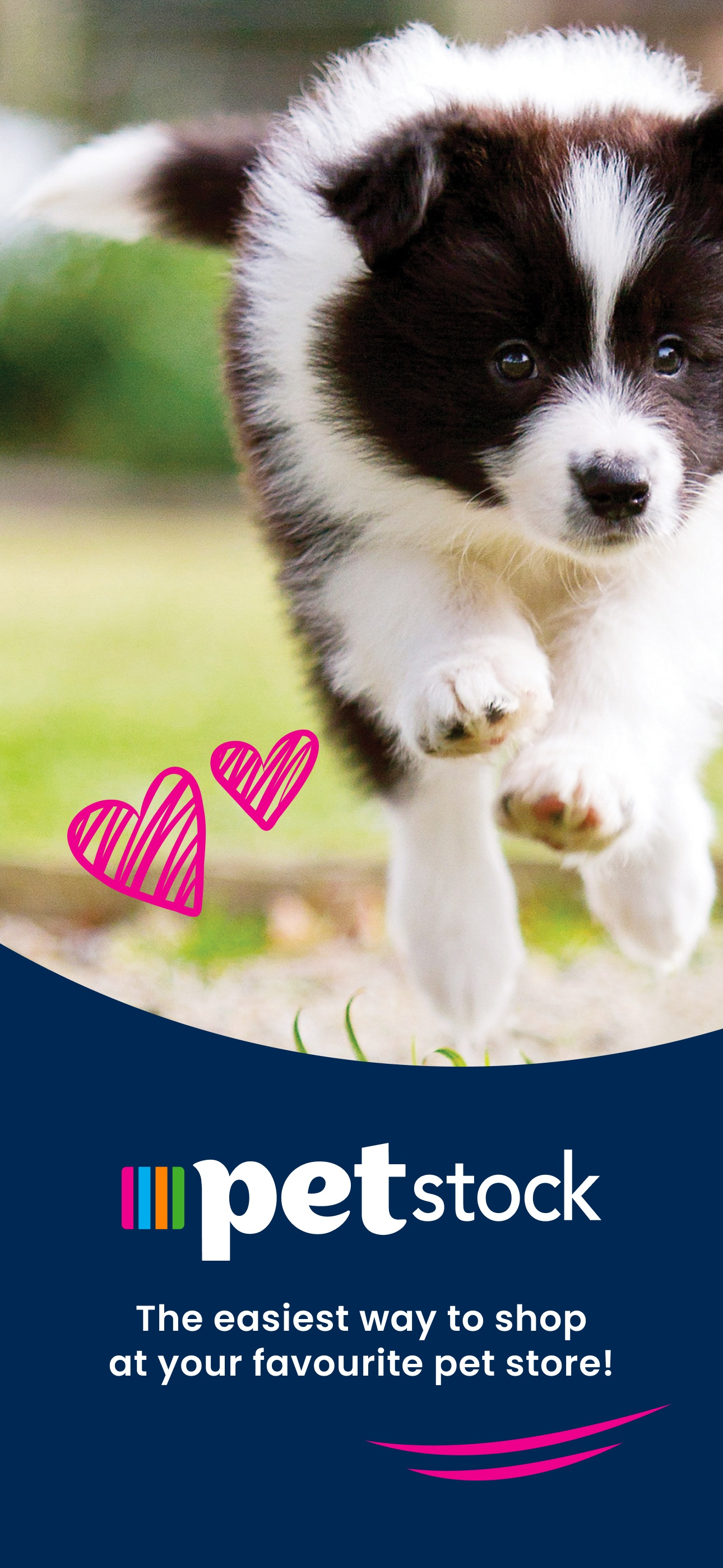Petstock: Shop Pet Supplies