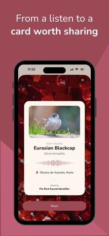 Pio: Bird Sound Identifier Screenshot 5 of 7