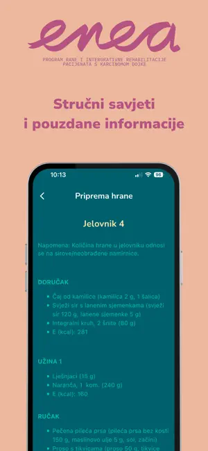 Enea screenshot 2