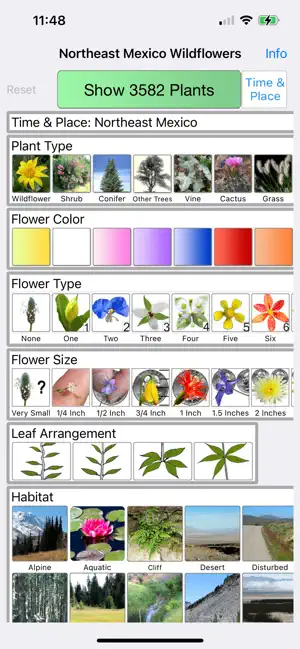 Northeast Mexico Wildflowers screenshot 1