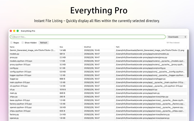 Everything 专业版 screenshot