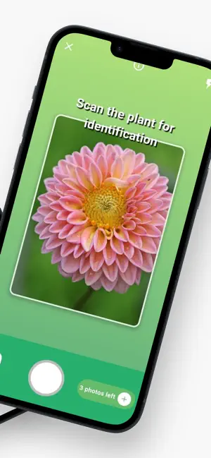FotoPlant Plant Identification screenshot 2