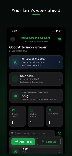 Mushvision screenshot 1