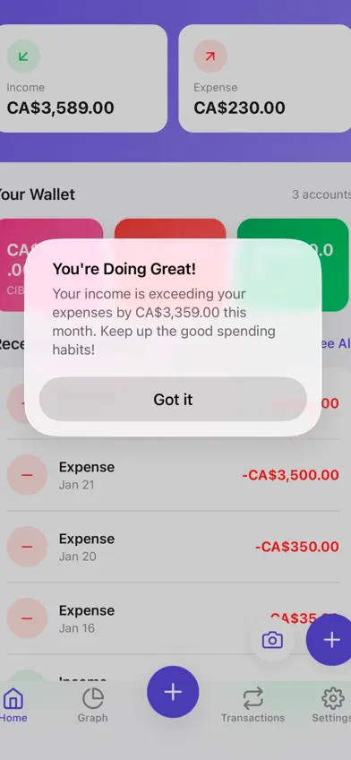 Steps Budget Tracker screenshot 5