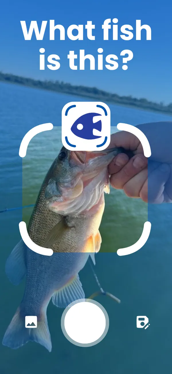 Screenshot #1 pour Fish AI Identifier by Picture