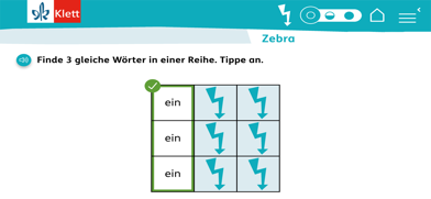 Blitzlesen Klett Schulversion Screenshot 4 of 6