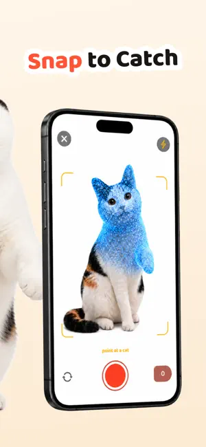 Cat Collector: Catch Real Cats screenshot 2