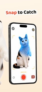 Cat Collector: Catch Real Cats screenshot 2