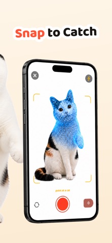 Cat Collector: 진짜 고양이 screenshot 2