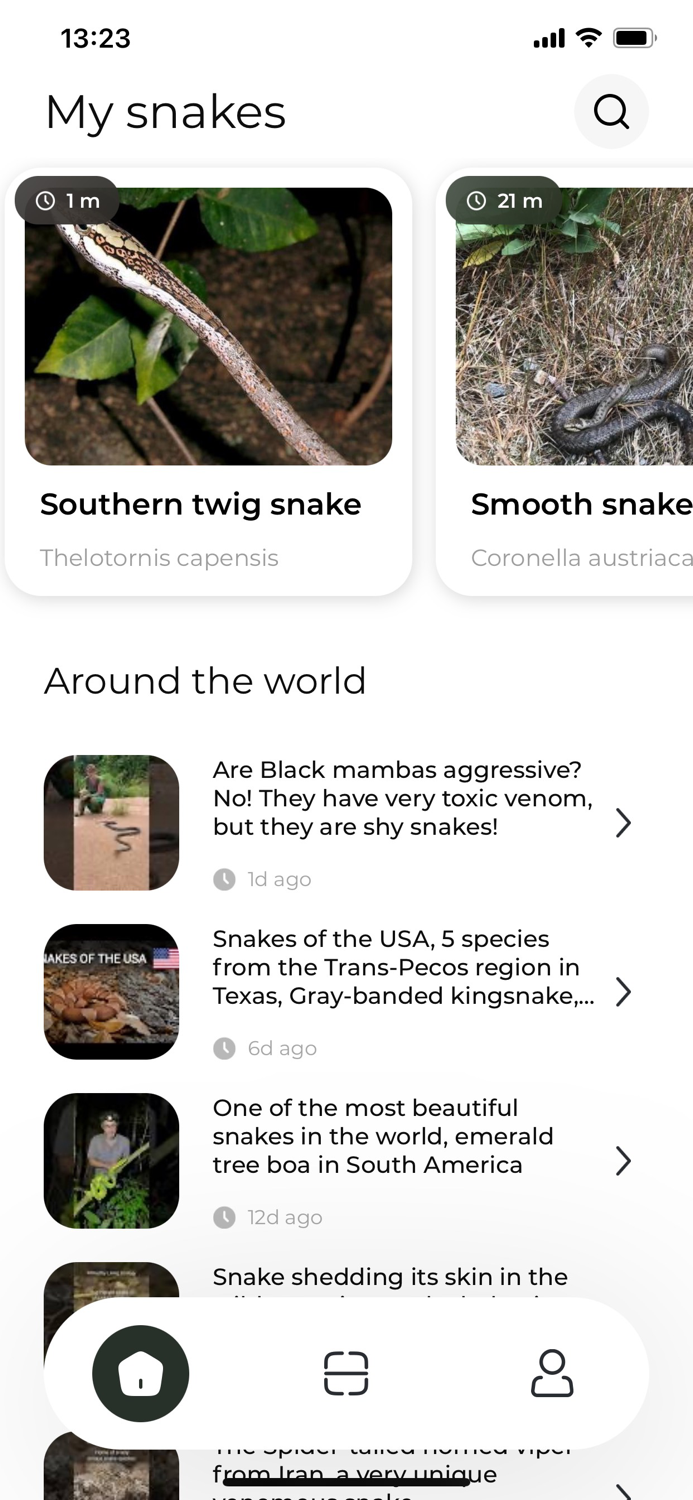 Snake name - identify snakes