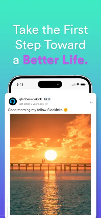 Sober SideKick: Screenshot 5 von 10