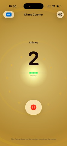 Chime Counter Pro screenshot