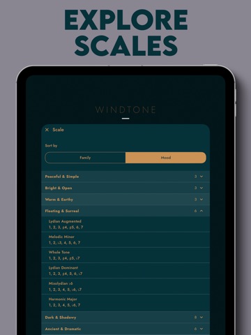 Windtone by Sonofield iPad screenshot