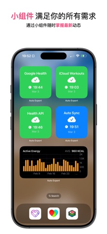 Health Auto Export - JSON+CSV screenshot