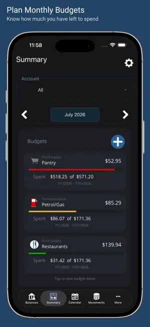 My Accounts and Expenses screenshot 3