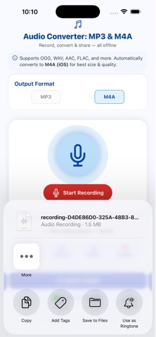 Audio Recorder & Converter screenshot