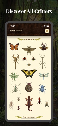 Little Wings: Bug Walking Game Screenshot 2 of 5