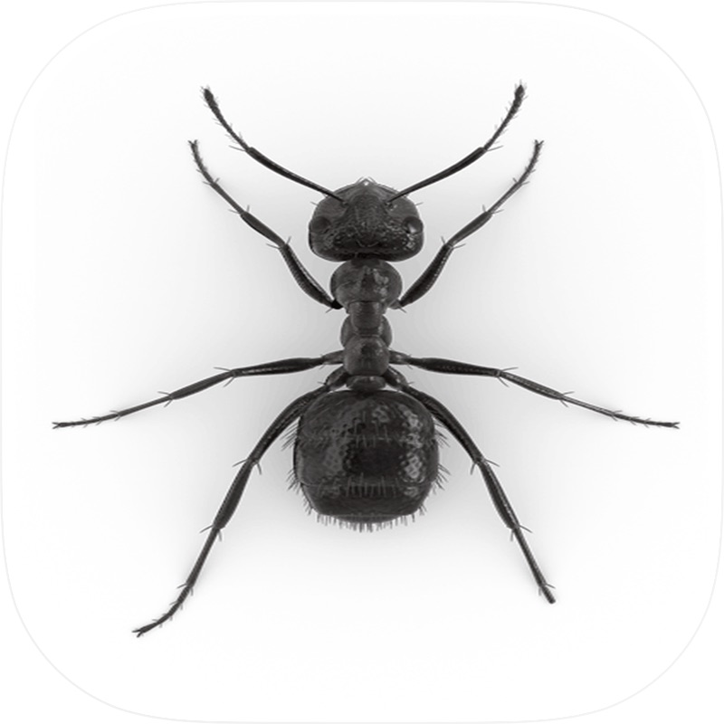 Tap Tap Ants screenshot 7