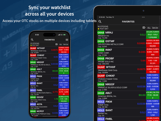 OTCGems: OTC Stocks Insight iPad screenshot 6 - Finance app