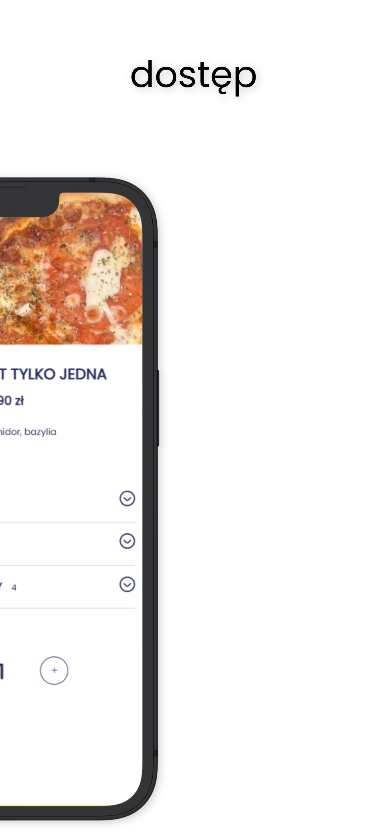 Pizza Pirat