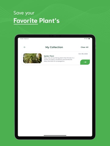 Plant Identifier - PI iPad screenshot