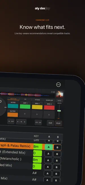 AlyDeejay: Dj App & AI Automix screenshot 3