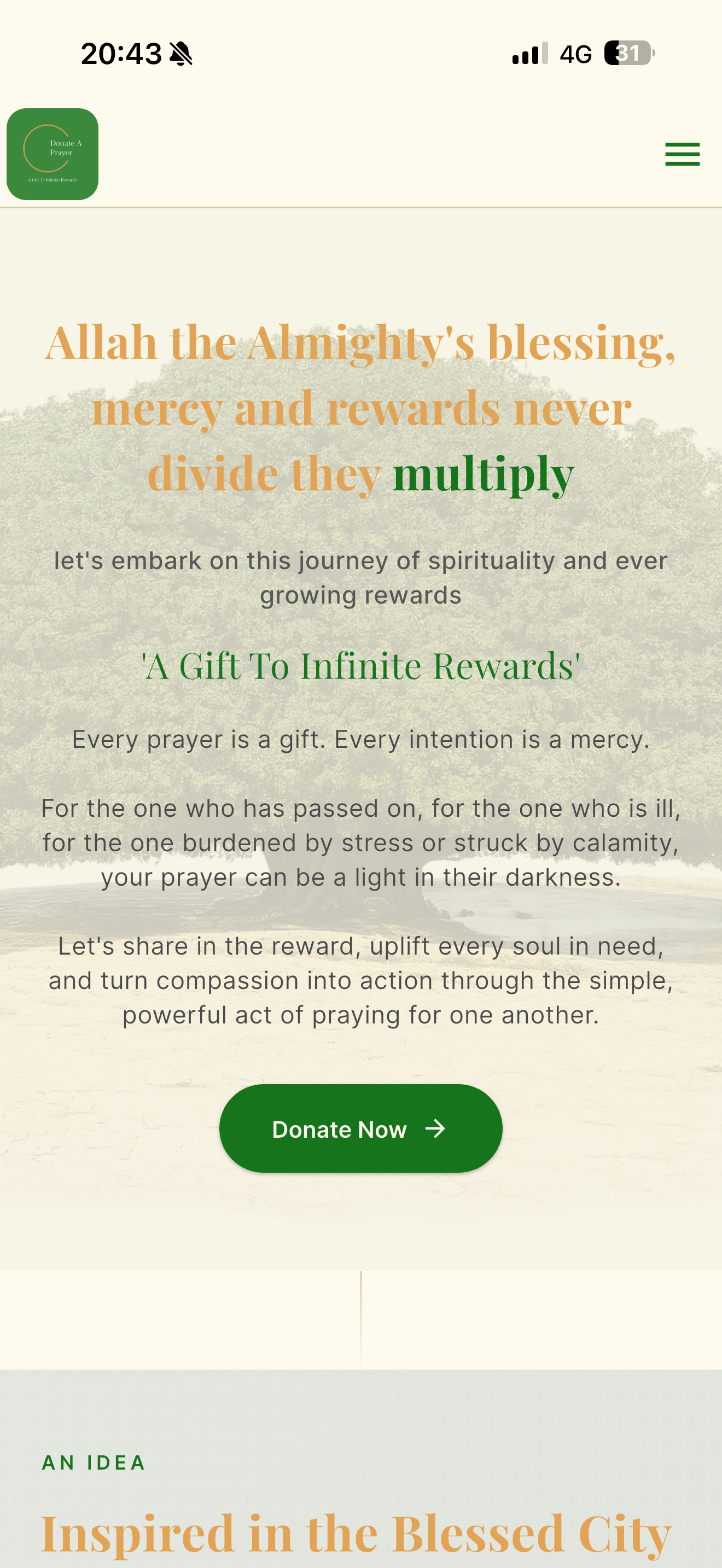DONATE A PRAYER screenshot 6