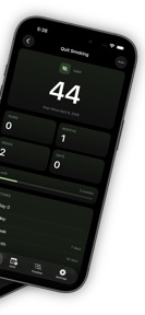 Milestone: Streak Tracker screenshot
