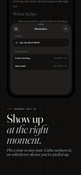 Caliu - A notes app Screenshot 5 of 7