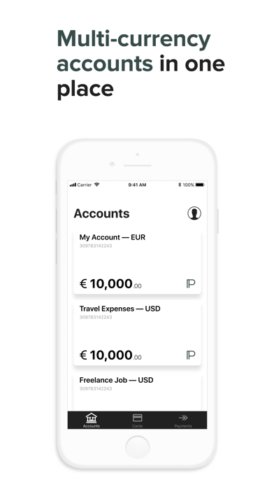 Petrus Bank Screenshot