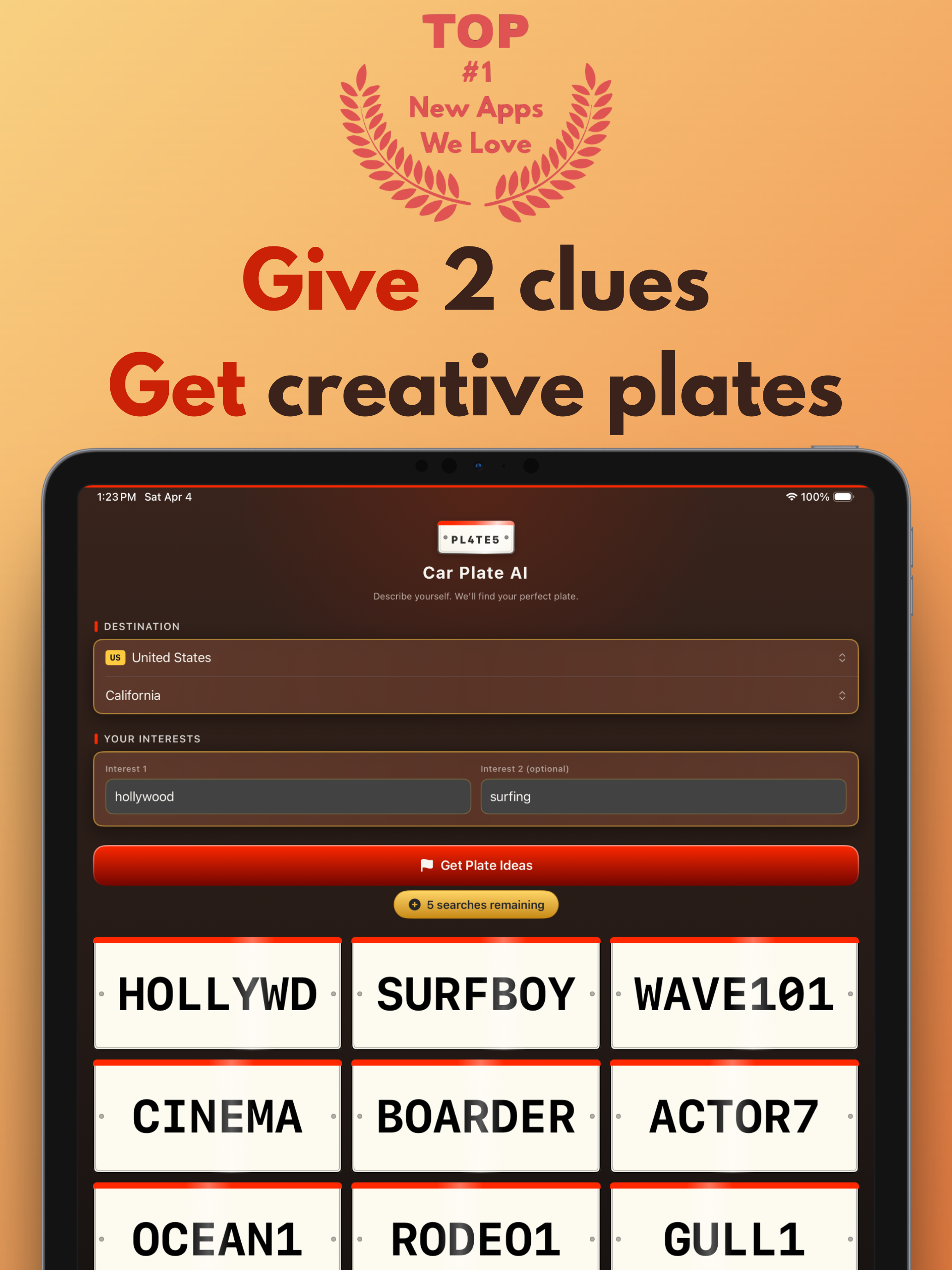 Vanity Plate Idea Generator