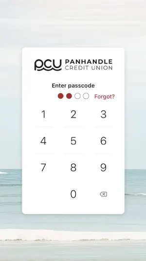 PCU Anywhere screenshot 2