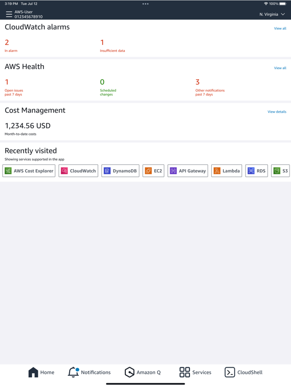 Screenshot #4 pour AWS Console