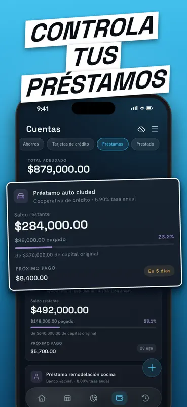 Budget & Dépenses: NEKO screenshot 5 of 9