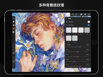 画世界Pro iPad screenshot 3