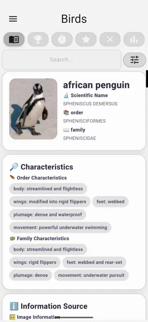 Birds... screenshot 2