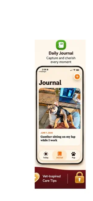 Frenchie Buddy screenshot 3